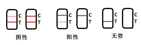 丁香酚快速檢測卡